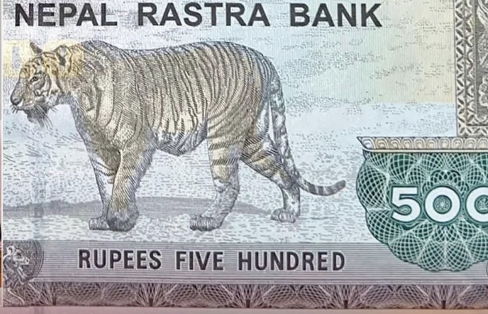 आजदेखि ५०० को नयाँ नोट आउँदै,के छ विशेषता ?