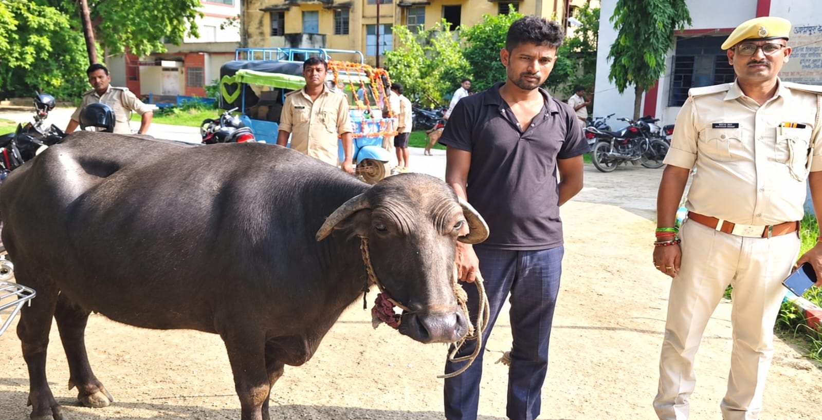 बाराका युवक चोरीको भैंसी सहित भारत आदापुरमा पक्राउ