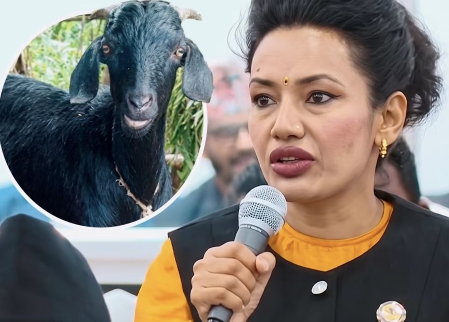 दशैंमा निर्दोष पशुमाथि हुने क्रू’रता रोक्नुपर्छ : आशिका तामाङ