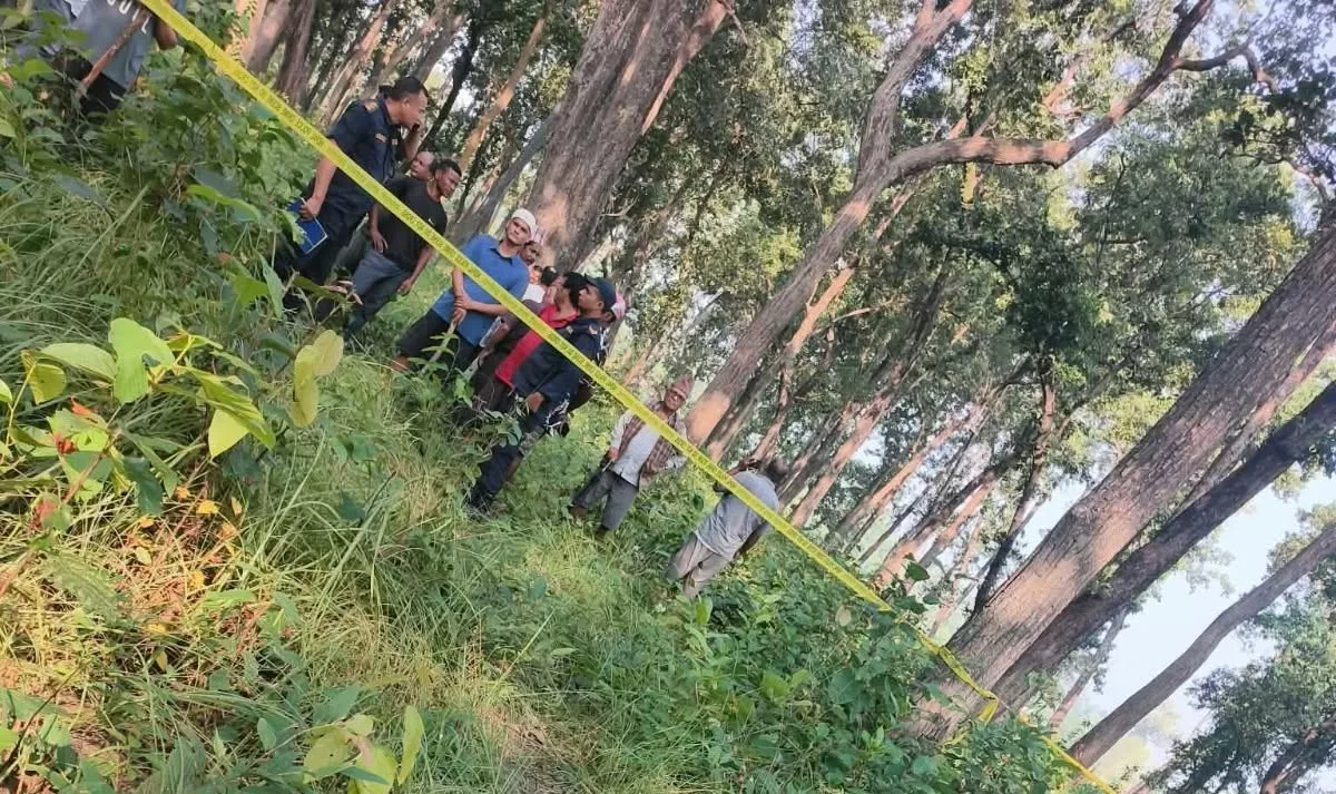 च्याउ टिप्न गएका ४० वर्षीय चौधरीको बाघको आक्रमणबाट मृत्यु